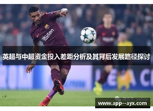 英超与中超资金投入差距分析及其背后发展路径探讨